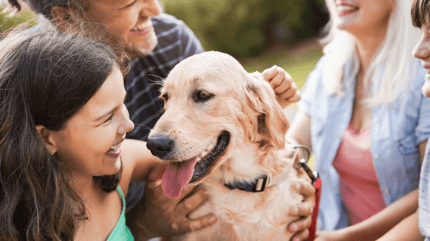 Moeders met kind en drie honden