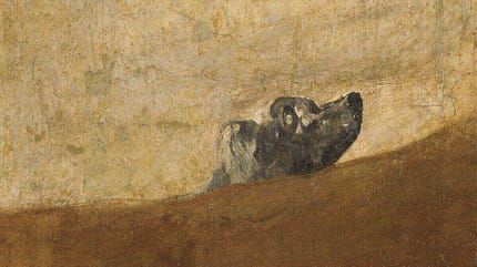 detalle cuadro perro semihundido goya museo prado