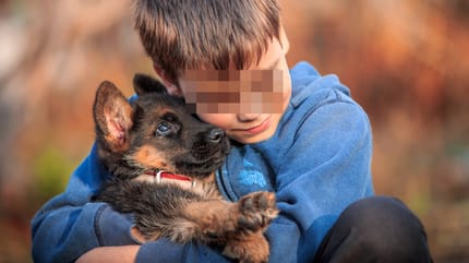 mejores perros para niños autistas