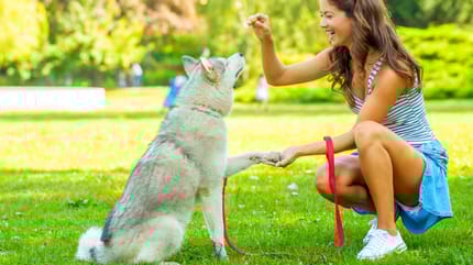 Ragazza che educa il cane con una crocchetta in mano
