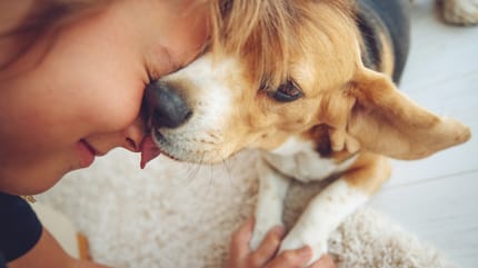 Un perro con su dueño
