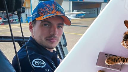 Max verstappen en kat