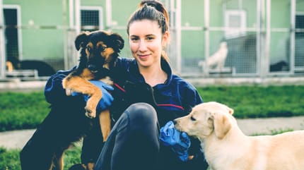 Ragazza in un rifugio per cani