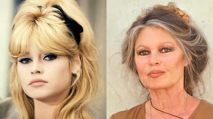 brigitte bardot antes y despues