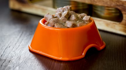 Imagen de comida húmeda para perros