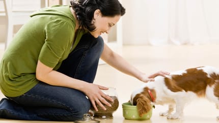 Jak opiekować się małym psem?