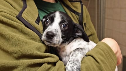 Der kleine Colja ist verunsichert.