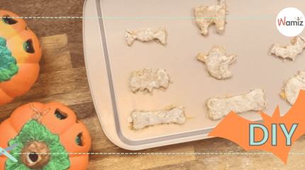 Cómo hacer galletas para perros