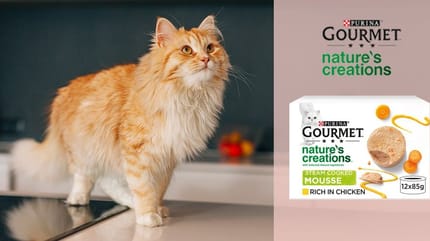 I lettori di Wamiz hanno provato il paté di Gourmet Nature's Creations: «Il mio gatto ne vuole ancora!»