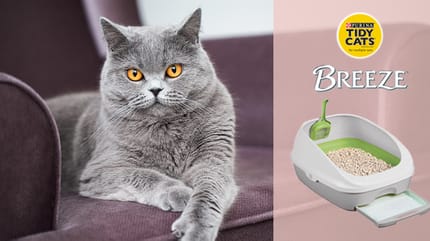 Tidy Cats Breeze