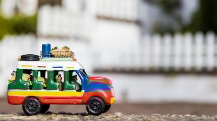 Bus colombiano con perros y gatos