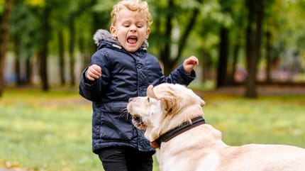 Bimbo piccolo che ha paura del cane