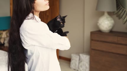 gatto appiccicoso in braccio alla padrona