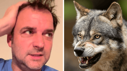 Martin Rütter und der Wolf