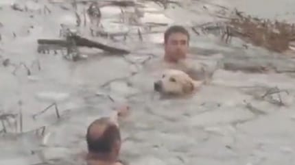 Mutige Polizisten springen in einen vereisten See, um hilflosen Hund zu retten
