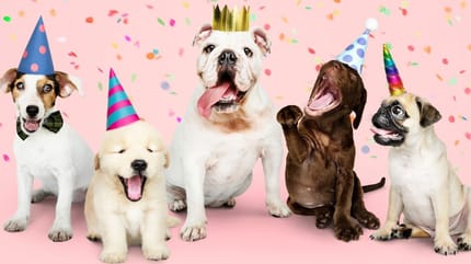 razas favoritas mexico 2021