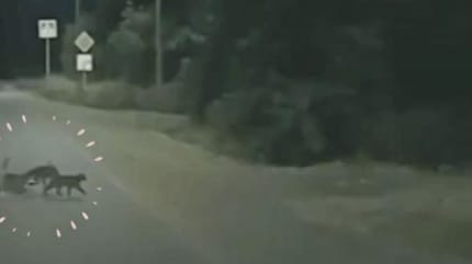 Straße bei Nacht mit einem Schutzengel