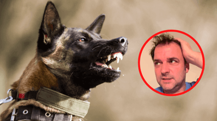 Polizeihund und Rütter
