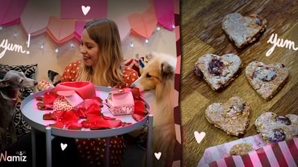 receta San Valentín para perros