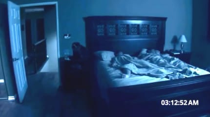 actividad paranormal gatos