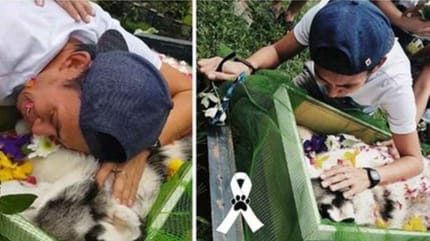 Szenen von Shadows Beerdigung