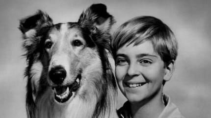 lassie junto a su dueño cartel de 1955