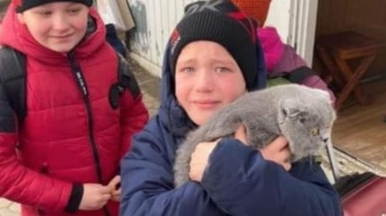 Kind hält Katze in den Armen