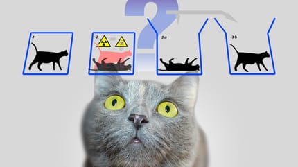 gato de schrödinger