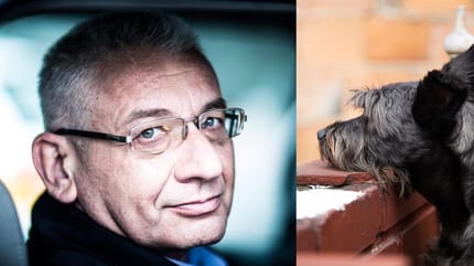 Ludwik Dorn i Saba