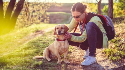 come togliere una zecca al cane: padrone toglie parassita all'animale nel bosco