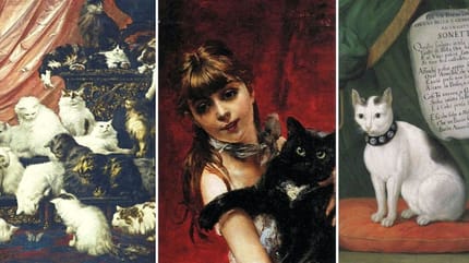 quadri e dipinti con i gatti