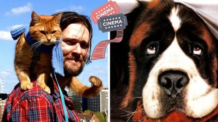 Peliculas de perros y gatos