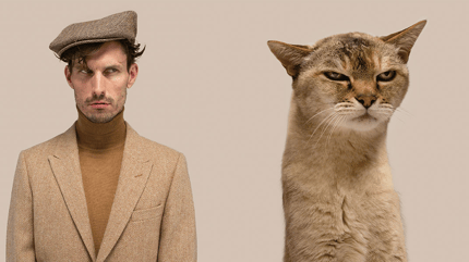 gatos que son iguales a sus dueños