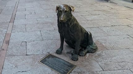 estatua de perro rufo oviedo
