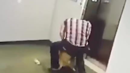 Mann und Spitz vor dem Aufzug