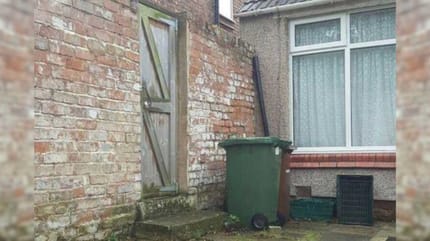 gato escondido en un patio