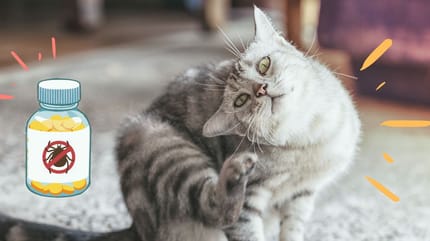 pastillas antipulgas para gatos