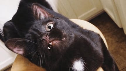 Schwarze mit einem Auge