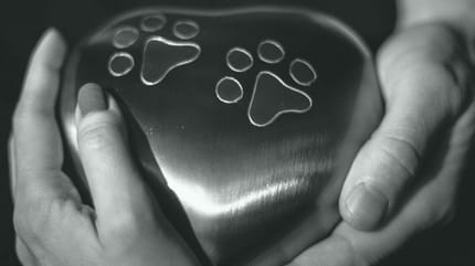 cuanto cuesta cremar un perro cdmx