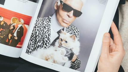 nombres de gatos famosos