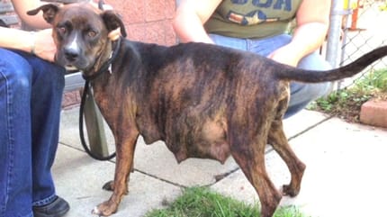 storie al lado de un coche