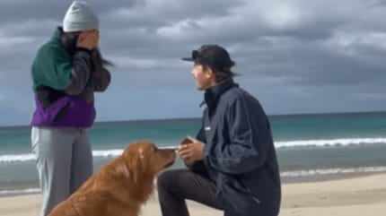 Mann auf Knien mit seiner Freundin und dem Hund