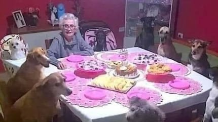 Die Oma am Tisch mit ihren Hunden.