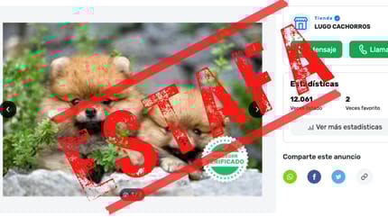 estafa milanuncios perros cachorros en venta