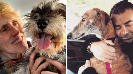 mercedes mila con perro jorge javier vazquez galgo