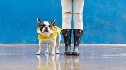 Cosa fare con il cane quando piove: padrona fuori con cane