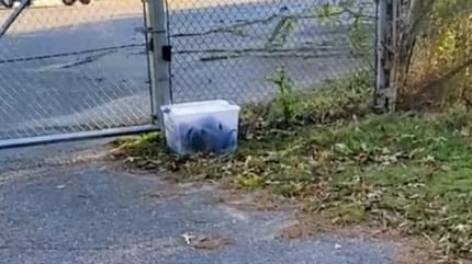 caja de plastico abandonada en la carretera