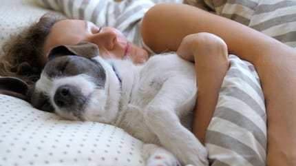 dormir con mi perro es bueno o malo