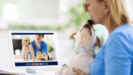 proprietaria fa un consulto veterinario online per il cane
