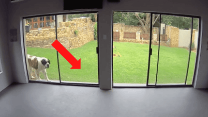 Porta-finestra in vetro sul giardino